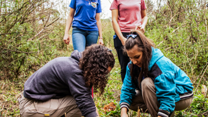 Vida Silvestre invita a adolescentes a tener “Un día verde” desde sus casas