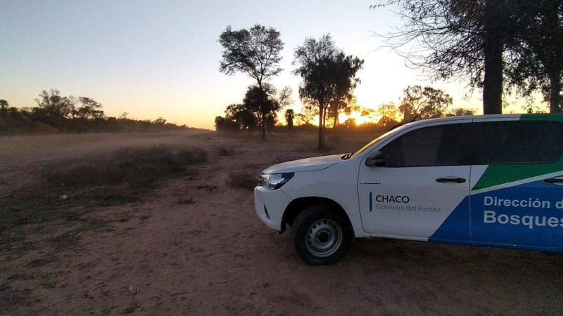 La Dirección de Bosques realizó un amplio operativo de fiscalización forestal