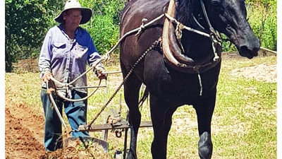 A Justa Ramona Fortini y a todas las agricultoras chaqueñas.