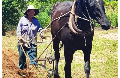 A Justa Ramona Fortini y a todas las agricultoras chaqueñas.