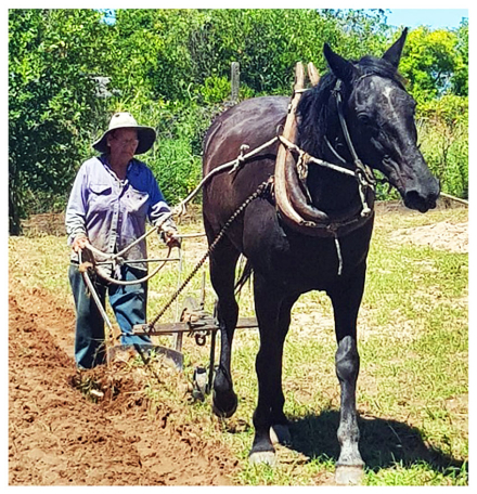 57Agricultora(Foto1).jpg