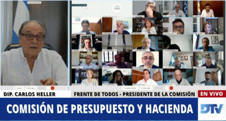 dipuados.jpg