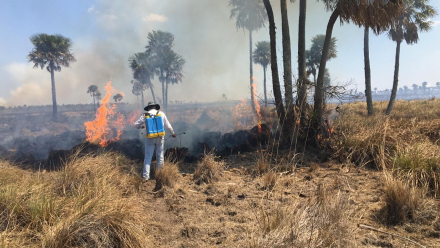 Incendio pastizales a full.jpg