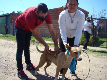 perro 1.jpg