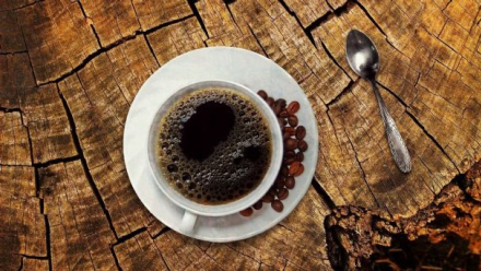 cafe.jpg