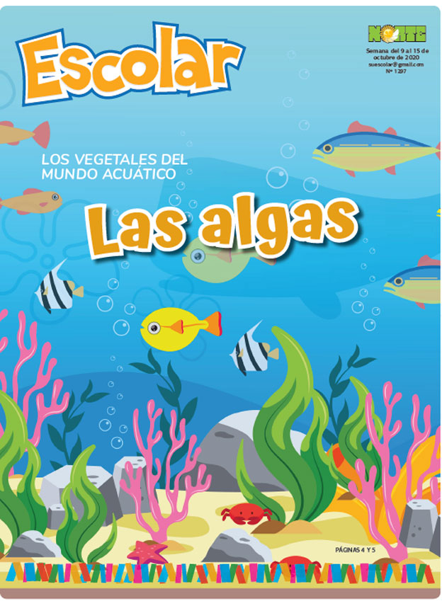 Las algas