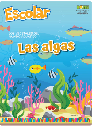 Las algas