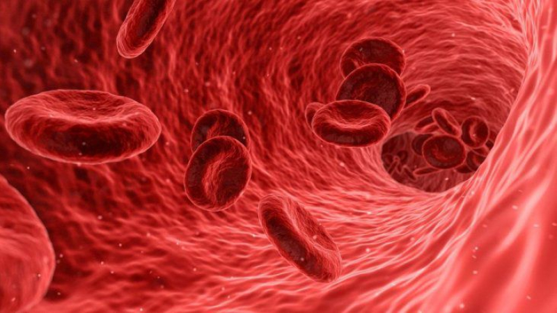 Científicos revelan cuál es el grupo sanguíneo menos vulnerable al coronavirus