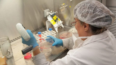 Investigadores del INTA y el Conicet neutralizaron el coronavirus con anticuerpos derivados de llamas y huevos