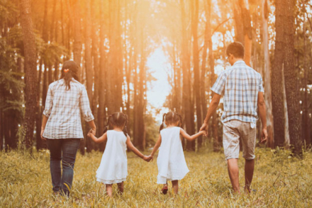 flia.jpg