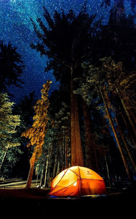 camping2.jpg