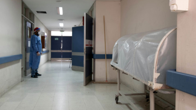 Confirmaron 8.037 contagios y 213 nuevas muertes en las últimas 24 horas