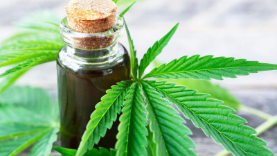 El Gobierno legalizó el autocultivo de Cannabis para uso medicinal y la venta de aceites en farmacias
