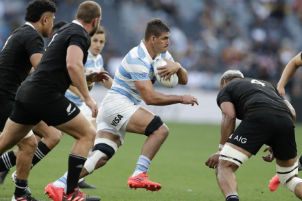 los pumas.jpg