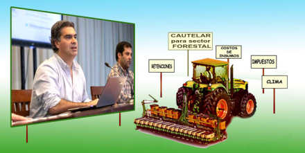 Dibu-rural.jpg