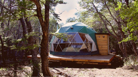Huemules, en Esquel.jpg