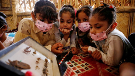 unicef4.jpg