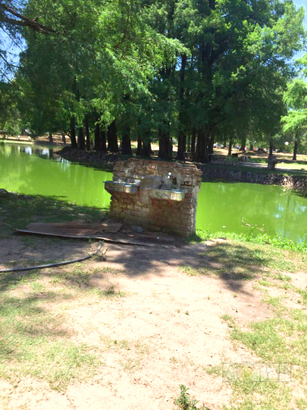 parque2.jpg
