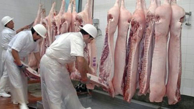 Productores de cerdos podrán faenar en el frigorífico de la Cooperativa la Unión Limitada