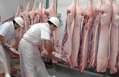 Productores de cerdos podrán faenar en el frigorífico de la Cooperativa la Unión Limitada