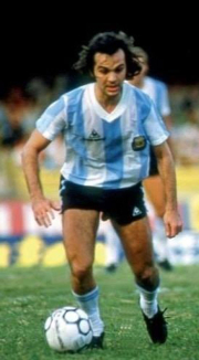 sabella.jpg