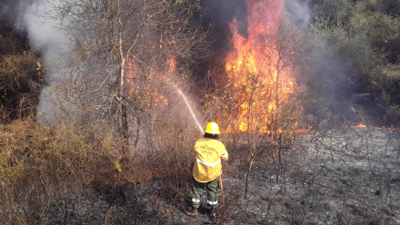 58fuego bomberos (1).jpeg