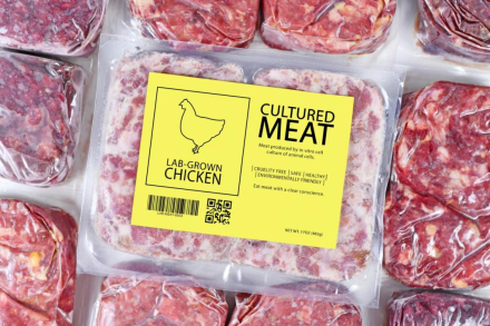 trabajo10.jpg