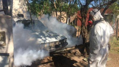 Reaparece en escena el dengue, la otra epidemia temida por chaqueños