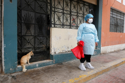 peru .jpg