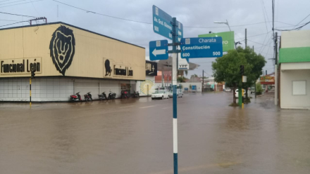 Charata lluvia 2.jpeg