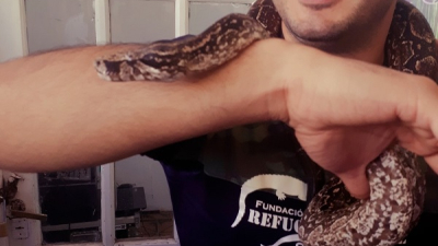 “Trabajamos para que no se tema a la fauna”