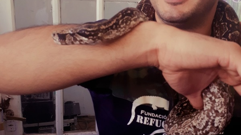“Trabajamos para que no se tema a la fauna”