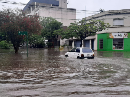 lluvia Migue 2.jfif