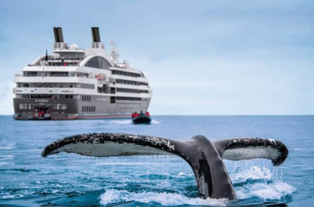 crucero lgbtq.jpg