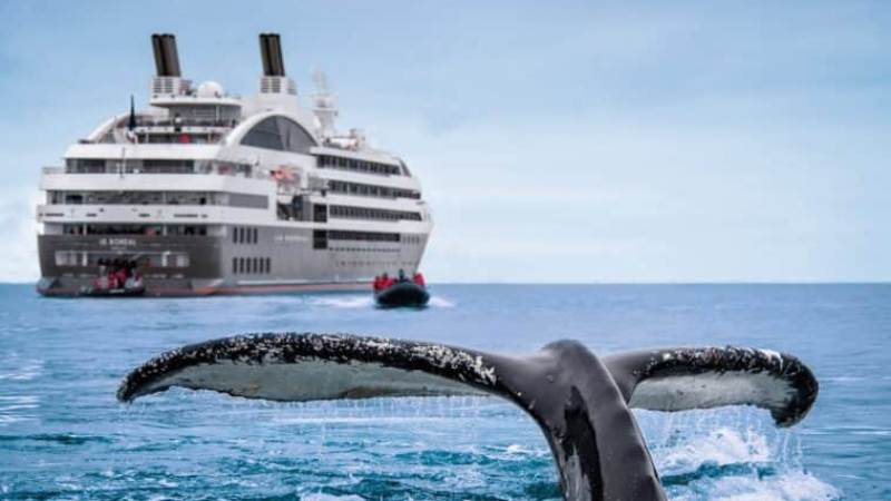 Argentina será punto de partida del primer crucero 100% Lgbtiq+ a la Antártida en 2022