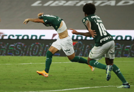 palmeiras3.jpg