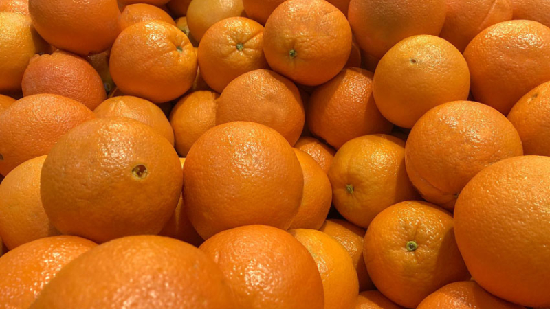 Se comieron 30 kilos de naranjas para no pagar exceso de equipaje