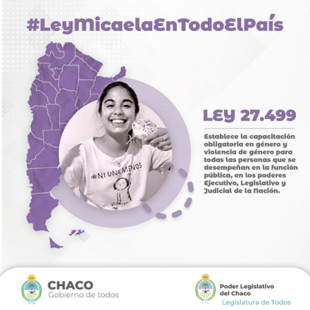 ley micaela.jpg