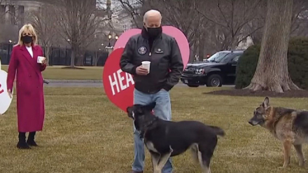 biden-perros.jpg