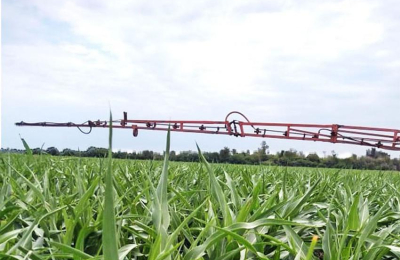 Panorama actual del cultivo en el Chaco