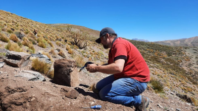 Encontraron restos de reptiles marinos gigantes que habitaron Malargüe hace millones de años