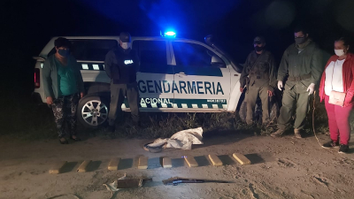 Gendarmería incautó más de 8 kilos de marihuana en Las Palmas