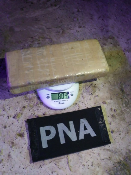 pna1 para.jpg