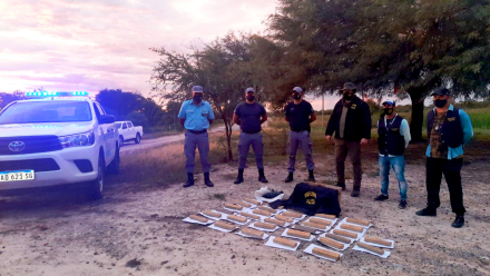 narco1.jpg
