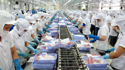 Grandes empresas deberán producir al máximo y asegurar distribución y comercialización    