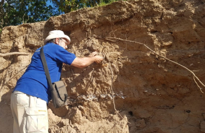 Banco de conchillas que datan de 500 a 1000 años en las barrancas de Antequera