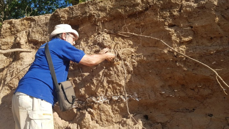 Banco de conchillas que datan de 500 a 1000 años en las barrancas de Antequera