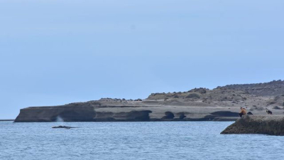 Llegaron las primeras ballenas a Península Valdés