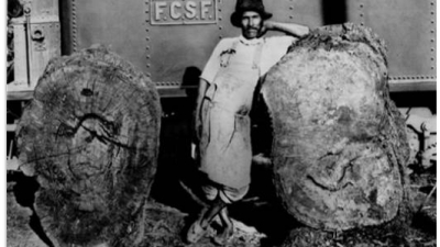 La dilapidación del territorio indio. Negociados de tierras y el transporte.
