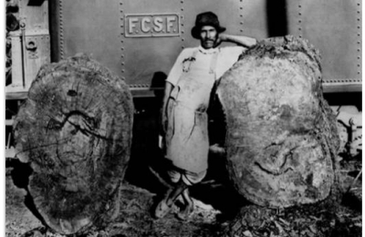 La dilapidación del territorio indio. Negociados de tierras y el transporte.